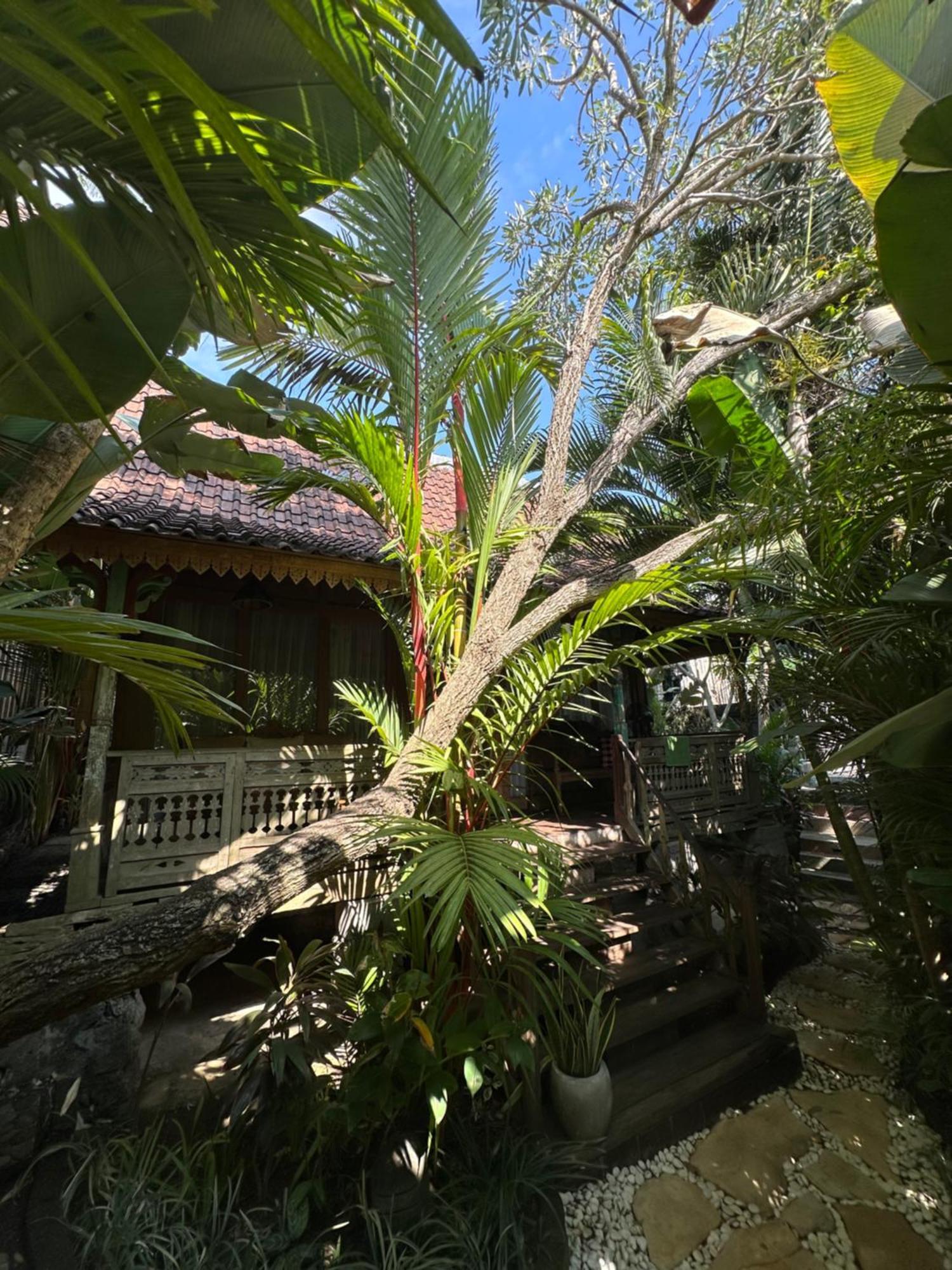 Umakayu Joglo Villa Canggu - Boutique Hotel Exterior foto